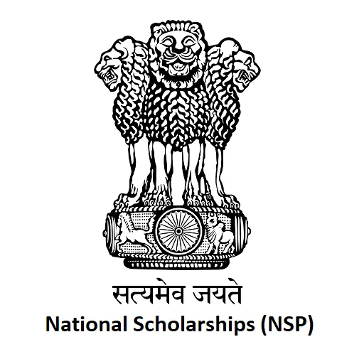 NSP scholarship