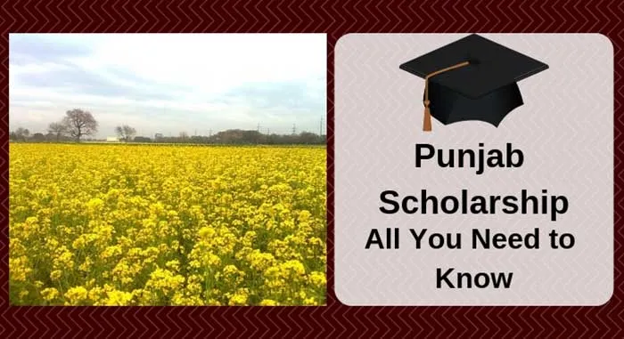 Punjab Scholarships Program