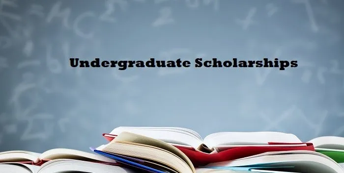 Scholarships for Undergraduate Students